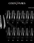 Dual Form Coffin formine trasparenti riutilizzabili
